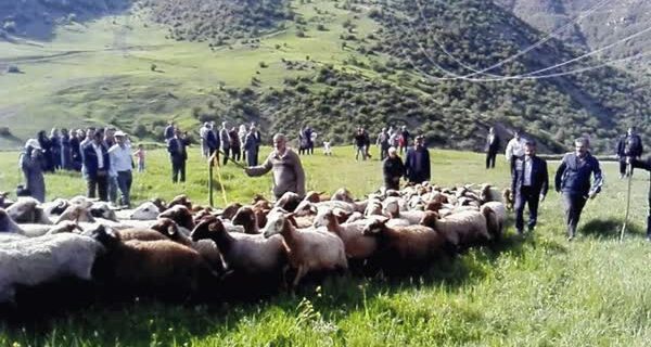 عشایر مازندران از رودخانه‌ها فاصله بگیرند