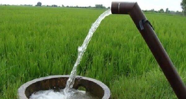 کاهش ۳۵  درصدی نرخ آب‌بهای کشاورزی با دستور استاندار مازندران / رفع دغدغه های کشاورزان