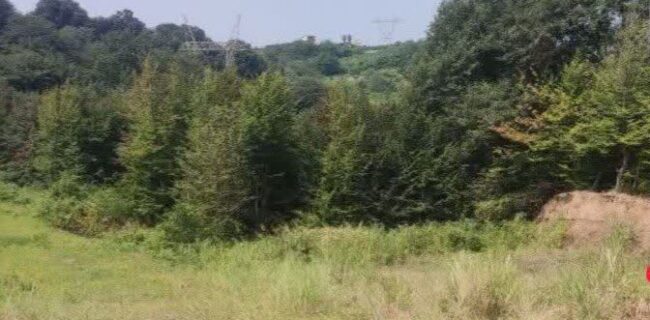 آزادسازی بیش از ۴ هزار متر مربع از اراضی ملی در نکا