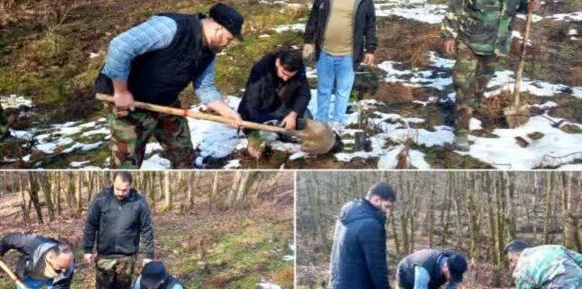 اجرای پویش نهالکاری به مناسبت گرامیداشت اعیاد شعبانیه در حوزه استحفاظی سنگتراشان شهرستان ساری