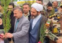 توزیع نهال رایگان میان مردم در راهپیمایی یوم‌الله ۲۲ بهمن، توسط اداره کل منابع طبیعی و آبخیزداری مازندران- ساری 