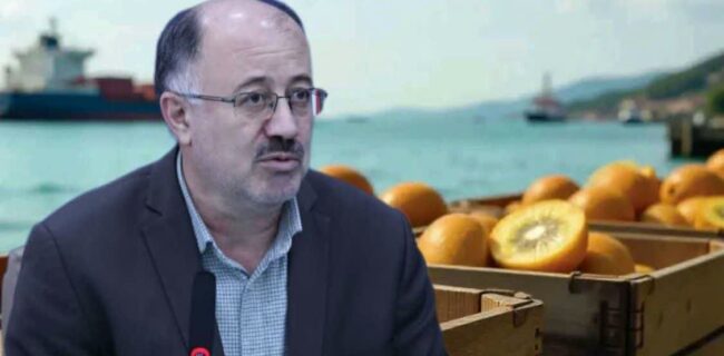 صادرات بیش از ۳۸ هزار تن کیوی از مازندران/ مرکبات در صدر محصولات صادراتی صادرات بیش از ۳۸ هزار تن کیوی از مازندران/ مرکبات در صدر محصولات صادراتی
