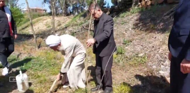 غرس نهال امید در مرکز استان همزمان با روز طبیعت غرس نهال امید در مرکز استان همزمان با روز طبیعت