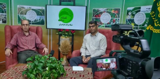 برگزاری هجدهمین برنامه «استودیو برکت» با محور مدیریت بهنگام بیماری‌ها در باغات درختان سیاه‌ریشه مازندران