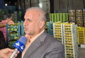نارنگی ساری باید به یک برند تجاری تبدیل شود