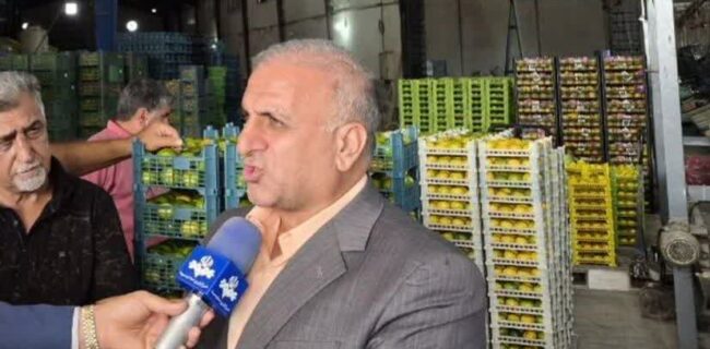 نارنگی ساری باید به یک برند تجاری تبدیل شود