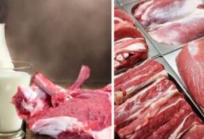 هدف‌گذاری صادرات بیش از ۸  میلیارد دلاری بخش کشاورزی مازندران / کاهش رفع تعهد ارزی و تخصیص سهمیه صادرات مرغ و مرکبات مازندران