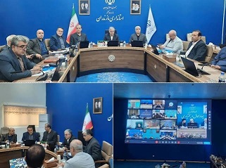 بررسی وضعیت آرد و نان در نشست وبیناری وزارت کشور