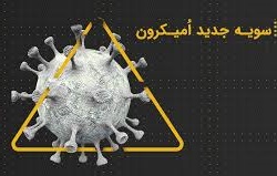 زیرسویههای جدید اُمیکرون در کمین شهروندان مازندرانی/تاکید بر تزریق دُز چهارم واکسن کرونا زیرسویههای جدید اُمیکرون در کمین شهروندان مازندرانی/تاکید بر تزریق دُز چهارم واکسن کرونا