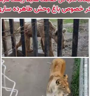 واکنش مدیرکل محیط زیست مازندران به تصاویر منتشرشده وضعیت باغوحش ساری واکنش مدیرکل محیط زیست مازندران به تصاویر منتشرشده وضعیت باغوحش ساری