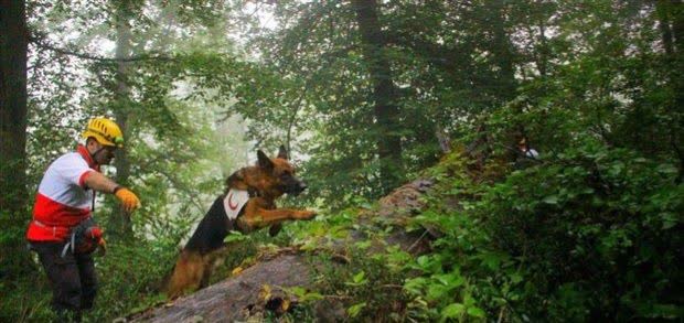 پیدا شدن مرد میانسال در جنگل های نکا پیدا شدن مرد میانسال در جنگل های نکا