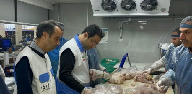 آغاز طرح تشدید نظارت بهداشتی و شرعی دامپزشکی با ۶۳  اکیپ