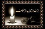 پیام تسلیت مدیرکل بهزیستی مازندران در پی درگذشت دکتر رضا افتخاریان، صاحب امتیاز مرکز سالمندان مینا ساری 