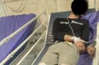 دستکیری شغال جنگل های نور  