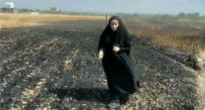 ۱۵هکتار از مزارع گندم بهشهر  طعمه آتش شد.
