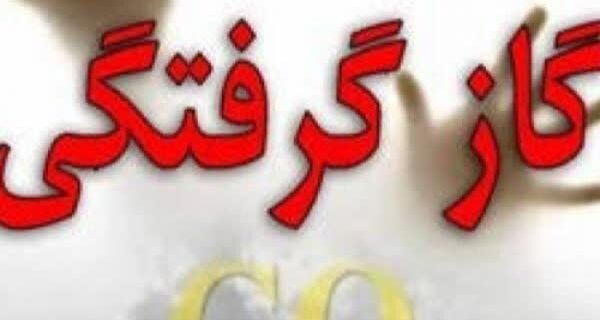 ۲۳     نفر در مازندران  دچار مرگ خاموش شدند/ هشدار در خصوص نیمه سرد سال 