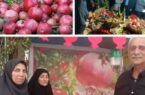 ٧ آبان، روز ملی انار/ جشنواره انار فرصتی برای راهيابی ياقوت های سرخ بهشهر به ساير استان ها ٧ آبان، روز ملی انار/ جشنواره انار فرصتی برای راهيابی ياقوت های سرخ بهشهر به ساير استان ها