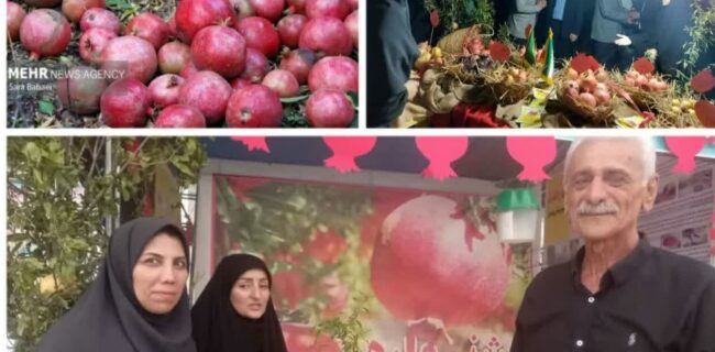 ٧ آبان، روز ملی انار/ جشنواره انار فرصتی برای راهيابی ياقوت های سرخ بهشهر به ساير استان ها ٧ آبان، روز ملی انار/ جشنواره انار فرصتی برای راهيابی ياقوت های سرخ بهشهر به ساير استان ها