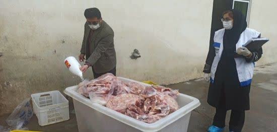 معدوم‌سازی ۳۹۲ کیلوگرم فرآورده خام دامی فاسد در بهشهر
