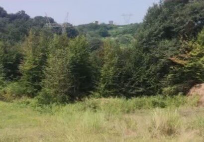 آزادسازی بیش از ۴ هزار متر مربع از اراضی ملی در نکا