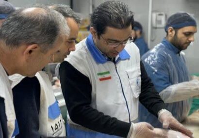 آغاز طرح نظارت ویژه دامپزشکی مازندران در ماه رمضان و آستانه نوروز/ استقرار ۴۷ اکیپ بازرسی در استان