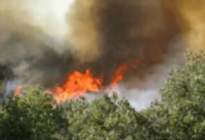 مهار ۳ آتشسوزی همزمان در جنگلهای هیرکانی مازندران / جنگلبانان در حالت آماده باش