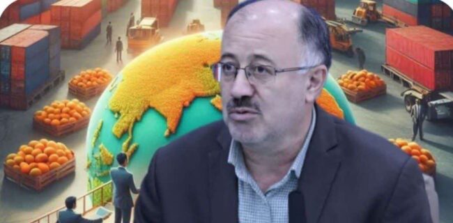 صادرات ۱۳۲ هزار تُن کیوی و مرکبات از مازندران/ در جنگ هم صادرات داریم