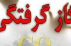 افزایش ۴۴ درصدی مسمومیت  با گاز منو اکسید کربن در مازندران / مرگ ۵۲ نفر در سال ۱۴۰۴ 