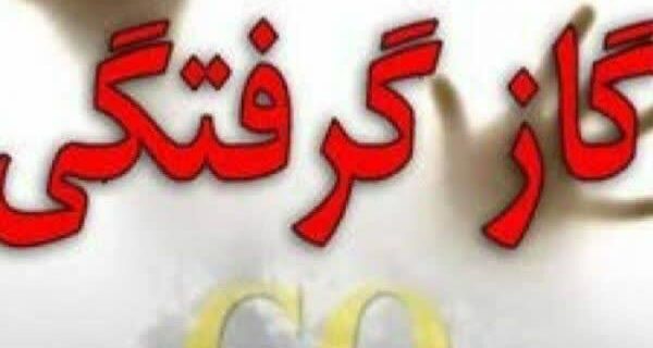 افزایش ۴۴ درصدی مسمومیت  با گاز منو اکسید کربن در مازندران / مرگ ۵۲ نفر در سال ۱۴۰۴ 