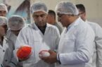 رصد دقیق فعالیت کشتارگاه های طیور مازندران/ کشتار ۱۴۰ میلیون قطعه مرغ در مازندران