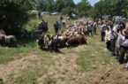 برگزاری آیین سنتی «قرق‌ شکنی»؛ نمادی از تعامل بهره‌ برداران و منابع طبیعی در ساری