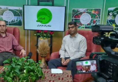 برگزاری هجدهمین برنامه «استودیو برکت» با محور مدیریت بهنگام بیماریها در باغات درختان سیاهریشه مازندران