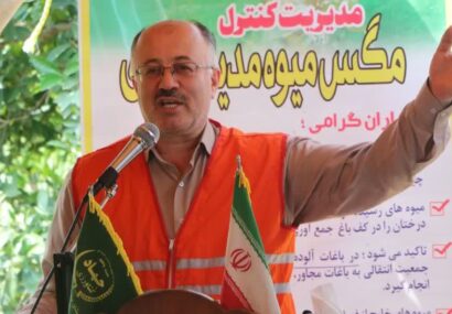 قدامات مشارکتی و پایش ملی، کلید مهار آفت مگس مدیترانه ای