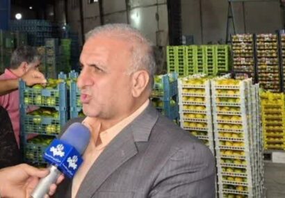 نارنگی ساری باید به یک برند تجاری تبدیل شود نارنگی ساری باید به یک برند تجاری تبدیل شود