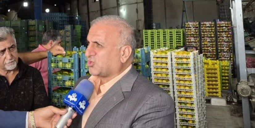 نارنگی ساری باید به یک برند تجاری تبدیل شود نارنگی ساری باید به یک برند تجاری تبدیل شود